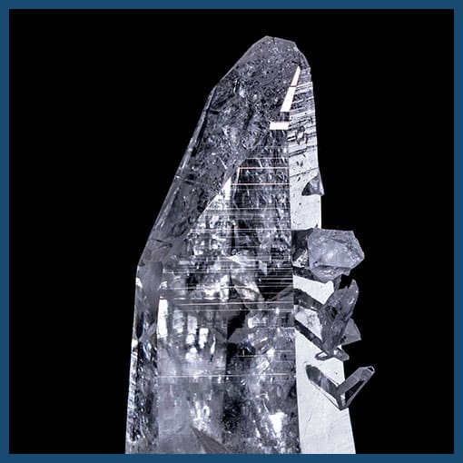 Babies/Barnacle Quartz
